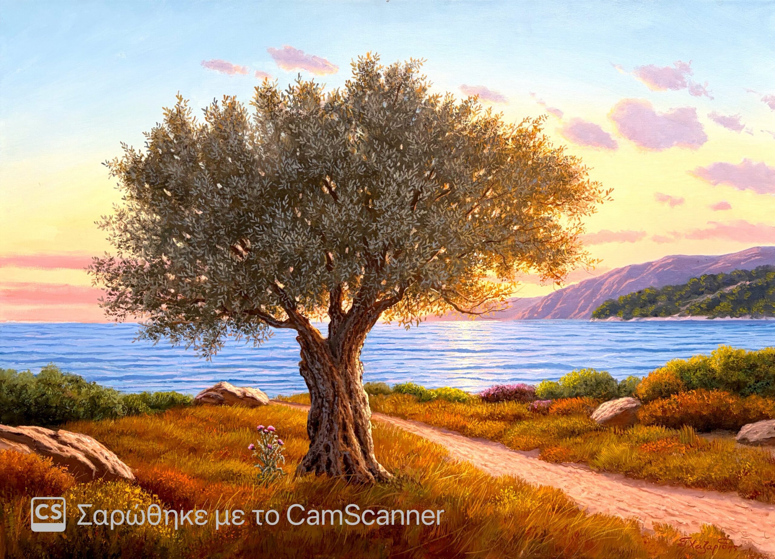 tsoukas.gr Ελιά στην ακροθαλασσιά Γ. Χαζαρίδης Ελιά στην ακροθαλασσιά Γ. Χαζαρίδης Τσούκας - Κορνίζες & Πίνακες Ζωγραφικής